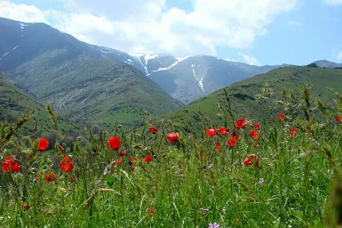 1 Day Tour to Shakhrisabz: Motherland of Amir Temur - Kok-Gumbaz Mosque and Persian design