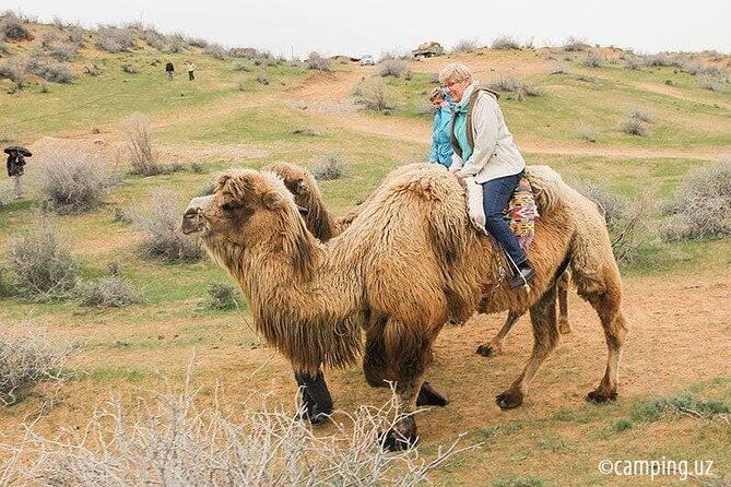 2 Days of Tour in Yurt Camp and Aydarkul - What the $190 price really buys