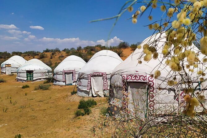 2 Days Private Safari Tour from Bukhara - Aydarkul Lake and the lakeside picnic