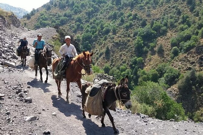 3-Day Chimgan Trekking Tour - Day two: Chetkumbel, Kubmel, and high-altitude petroglyphs