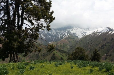 3-Day Chimgan Trekking Tour