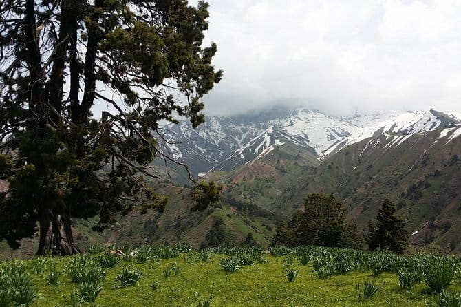3-Day Chimgan Trekking Tour - Day one: Melovoy Pass to the Marble River