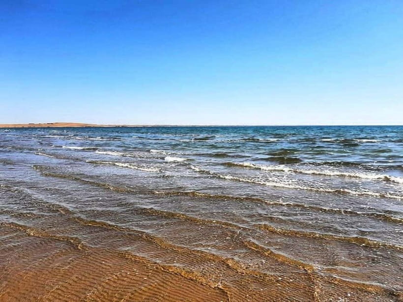 Adventure to Desert Kyzyl Kum and Yurt Camp - Private transport, language, and the real value of $230
