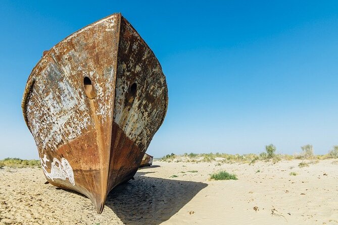 Aral Sea One Day Tour from Tashkent - Key points before you book