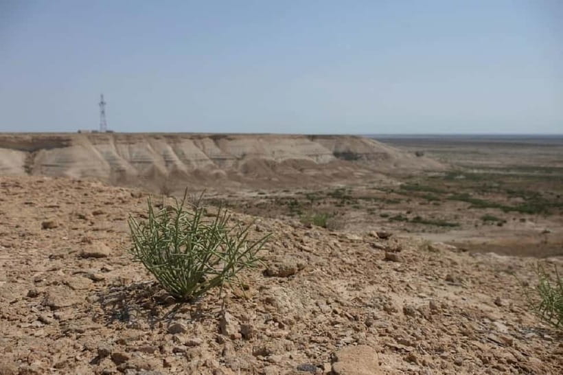Aral Sea Tour from Nukus 1 night / 2 days - Davlatgirey caravanserai and the return through Sudochie Lake
