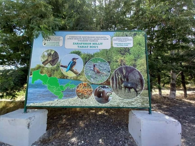 Bird Watching Tours in Samarkand - Leaving Samarkand for Zeravshan Natural Reserve