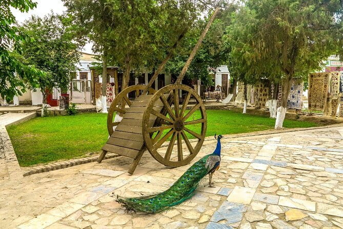Bukhara: Private Guided Walking Tour with Hotel Pickup - Bolo-Hauz adds timber, water, and a quieter mood