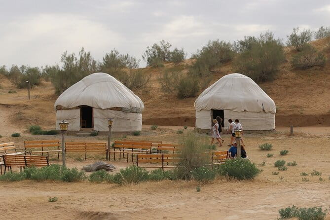Bukhara: Walking Tour with a Small Group - Seeing the Ark without rushing through its museums