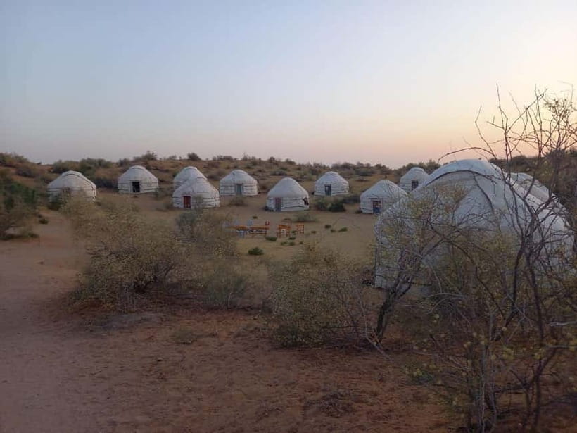 Desert Adventure from Samarkand: Yurt Camp & Aydarkul Escape - Aydarkul Lake in the desert
