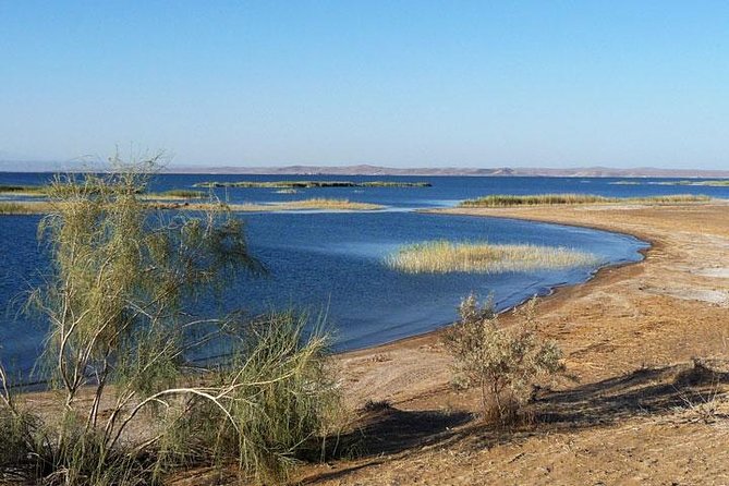Desert Yurt Camp tour - 2 days (shared) - Nurata, Alexander’s fortress, and the sacred spring