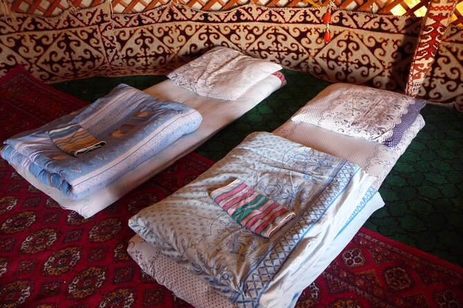 Desert Yurt Camp tour - 2 days (shared) - Aydarkul Lake and the birdwatching stop