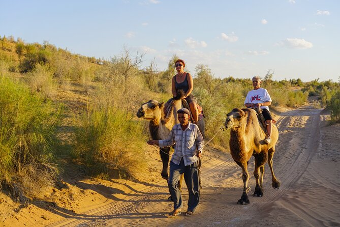 Desert Yurt Camp tour - 2 days (shared) - Transport, group size, and guide expectations
