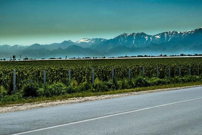 From Samarkand: Shahrisabz Day Trip & Mountain Pass Tour - Arriving at Ak-Saray Palace