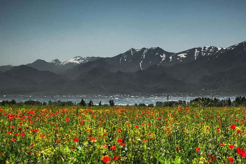From Samarkand: Shahrisabz Day Trip & Mountain Pass Tour - Is $95 a fair price?