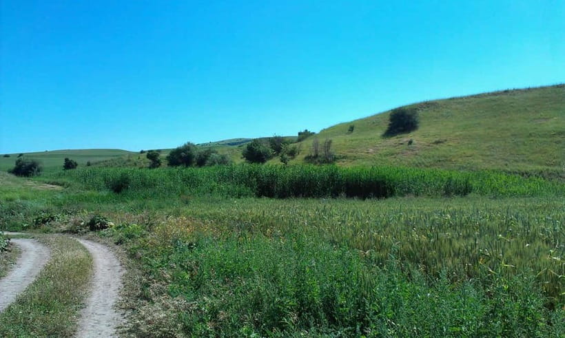 From Tashkent: Chimgan Valley Hiking Day Trip - From Tashkent streets to Chimgan mountain air