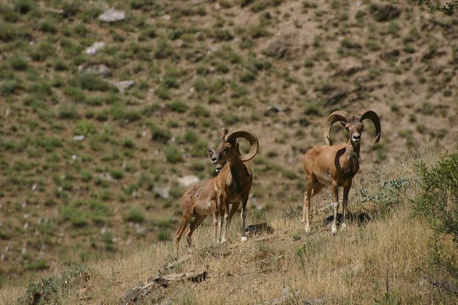 Hiking tour to Hayat, Uhum and Asraf villages – 4 days - Should you book the Hayat, Ukhum, and Asraf hike?