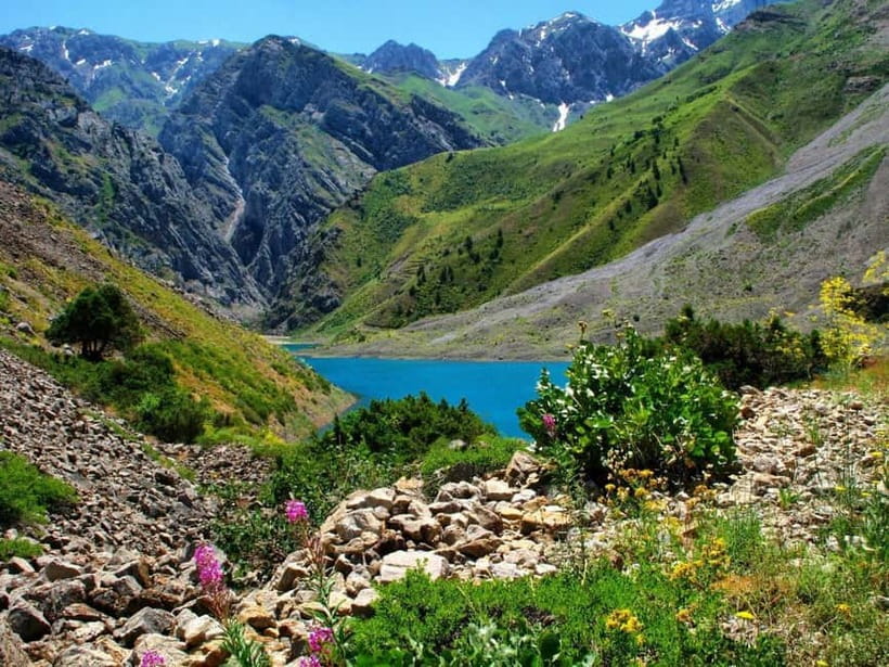 Samarkand: Shahrisabz Day Trip with Optional Local Guide - Who will get the most from this trip
