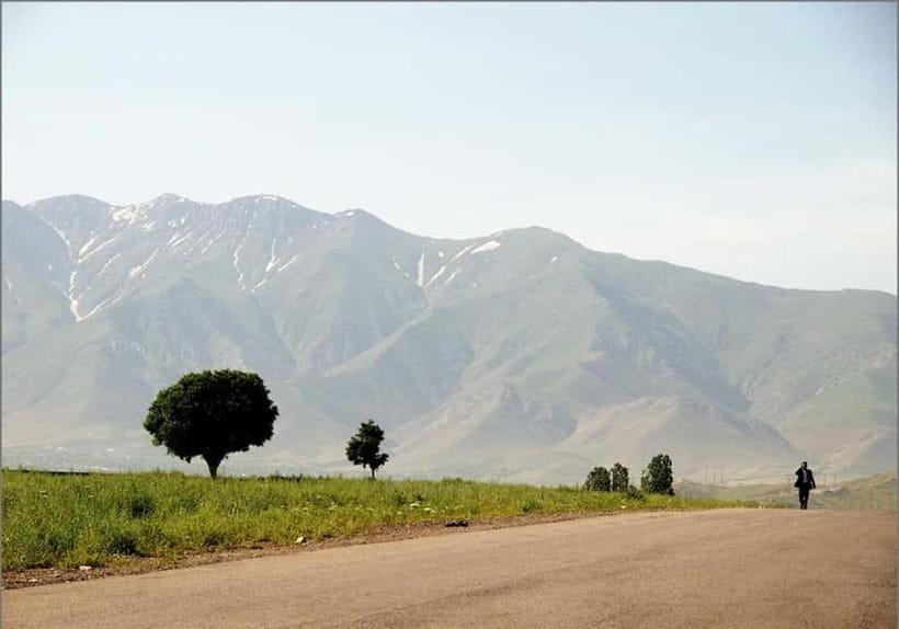 Samarkand - Shakhrisabz - Bukhara One Day Trip - The driver, language, and guiding arrangement