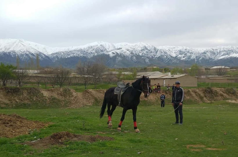 Samarkand: Uloq-Kopkari (Buzkashi) Game Day Tour - Why Uloq-Kopkari feels unlike a normal sporting event