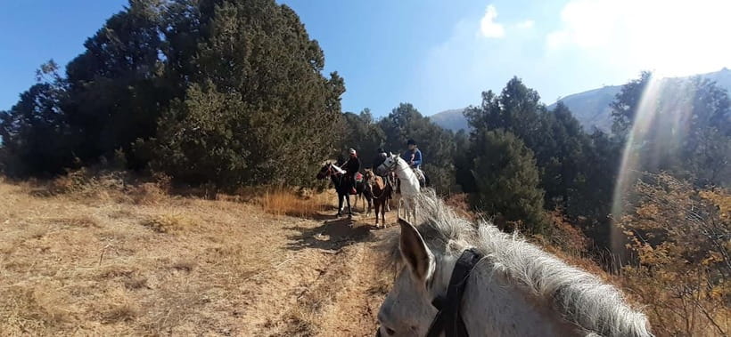 Tashkent: 3-Day Horseback Riding Tour in Chimgan Mountains - Key points to know before you book