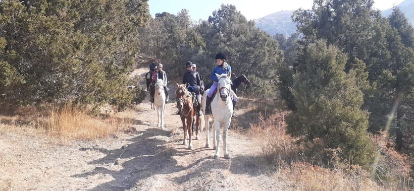 Tashkent: 3-Day Horseback Riding Tour in Chimgan Mountains - A horseback route through the Chimgan Mountains