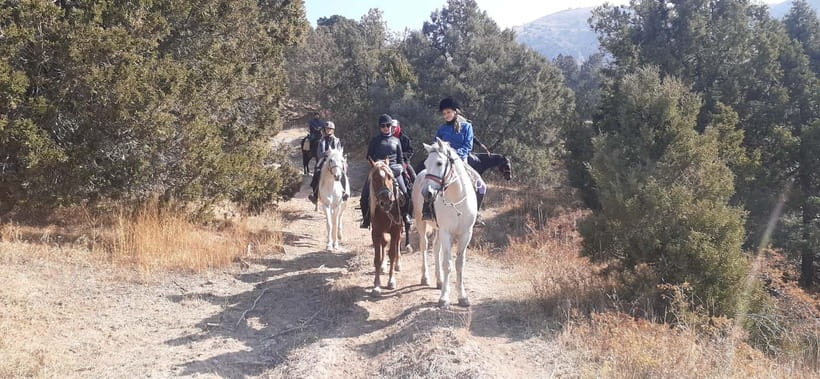Tashkent: 3-Day Horseback Riding Tour in Chimgan Mountains - Day two: Chet Kumbel Pass and the long mountain crossing