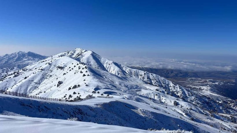 Tashkent Mountain Tour - Who will enjoy this mountain day most