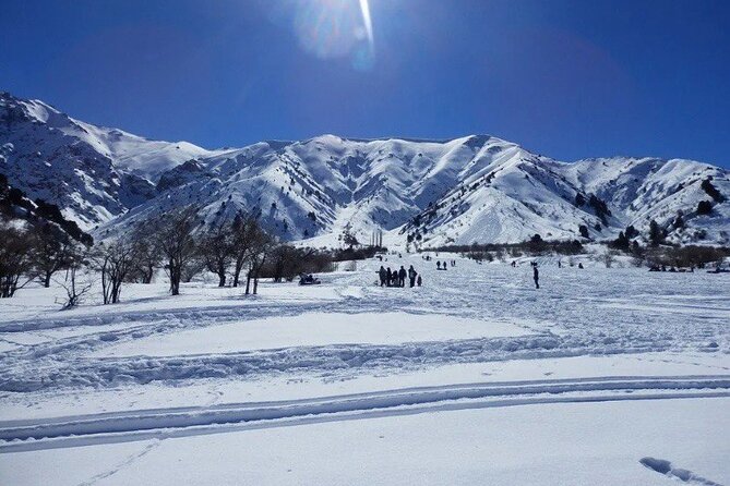 Tashkent Mountain Tour Amirsoy with Transport - Who will get the most from this outing