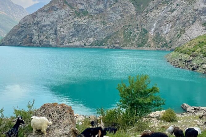 Tashkent Tour at Amirsoy, Chimgan Mountains and Charvak lake - Why this mountain day trip works from Tashkent