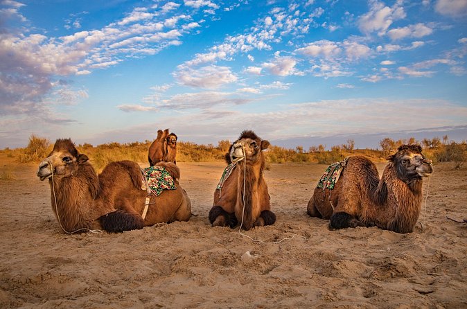 Transfer from Khiva to Bukhara by Fortresses - The audio guide and driver arrangement