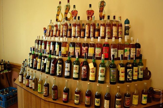 Wine Tasting Tour in Samarkand - Pairing the pours with simple snacks
